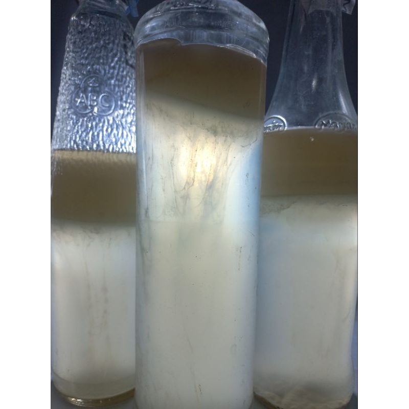 (PROMO TERMURAH) Starter Nata de Coco SIAP PAKAI - bibit acetobacter xylinium -bisa untuk Nata de Pi