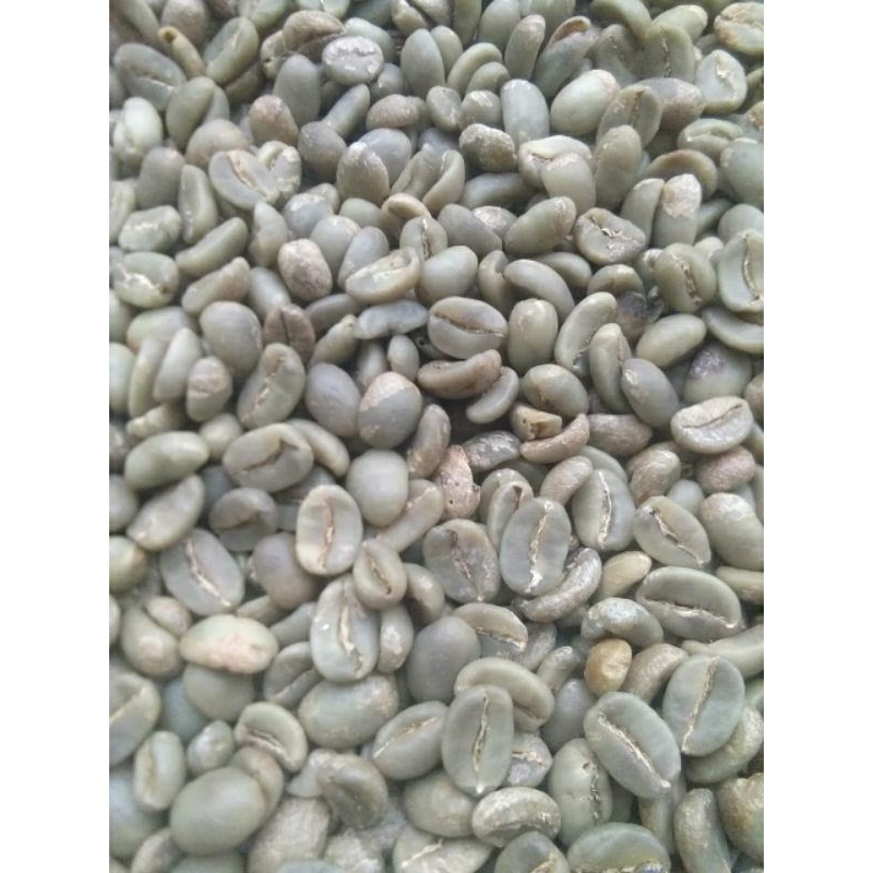 

Full Wash Arabika Gunung Prahu Jateng