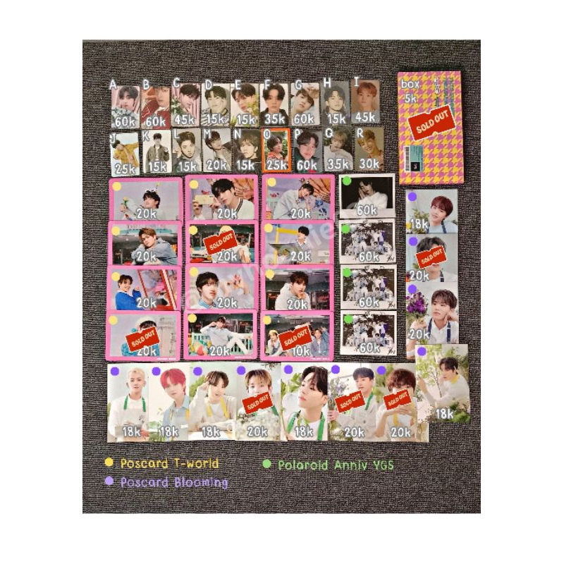 Photocard Poscard Treasure Official Ready Ina Wts PC postcard Rpc Blooming Deco kit album t-wolrd wo