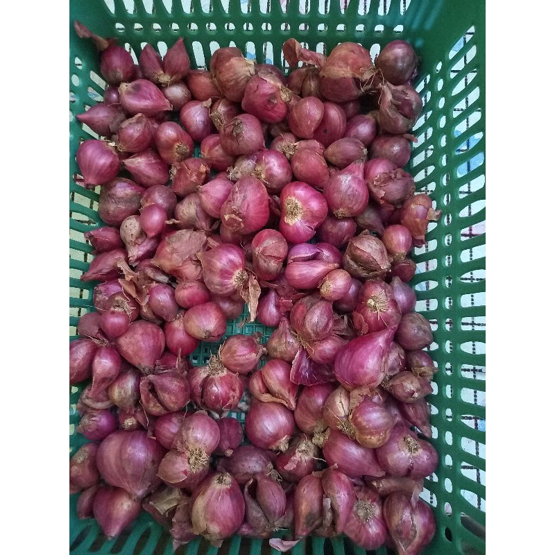 

Bawang merah 1kg