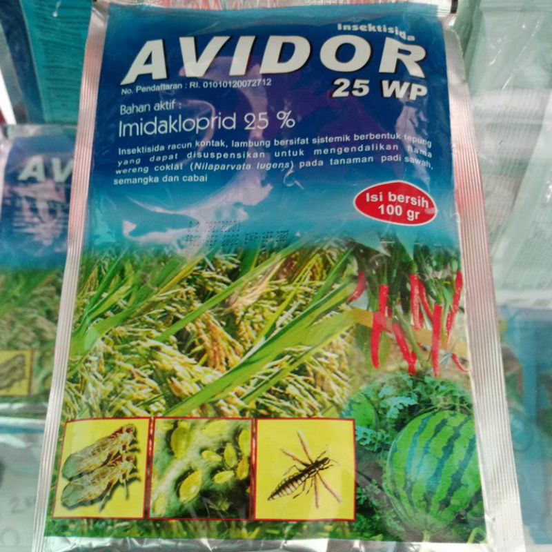 avidor 25WP 100gr