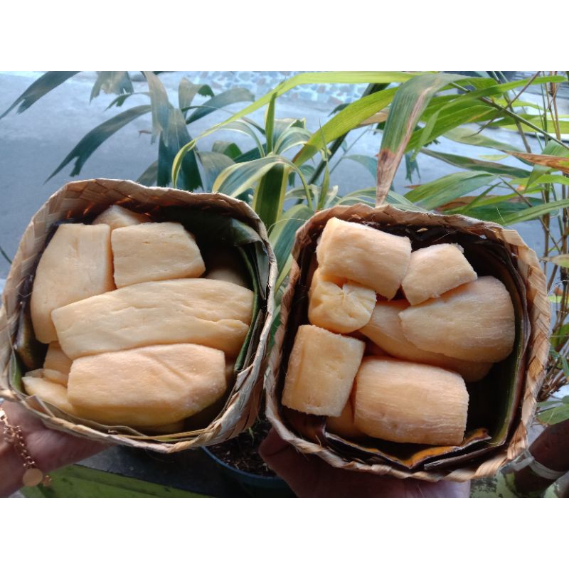 

TAPESINGKONG PATI,GEMBONG