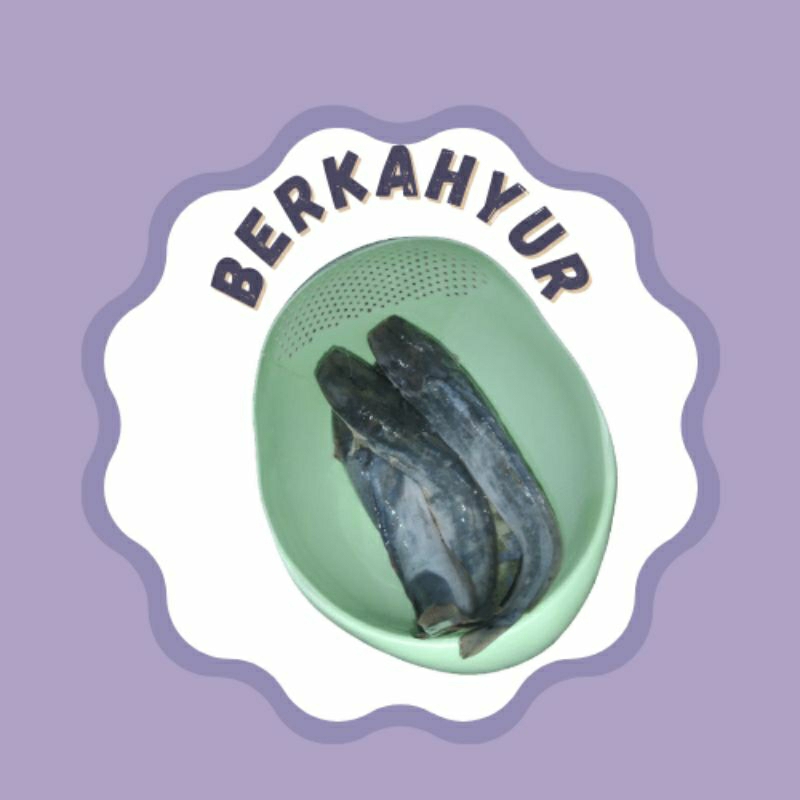 

Ikan Lele Fresh -+ 1 KG