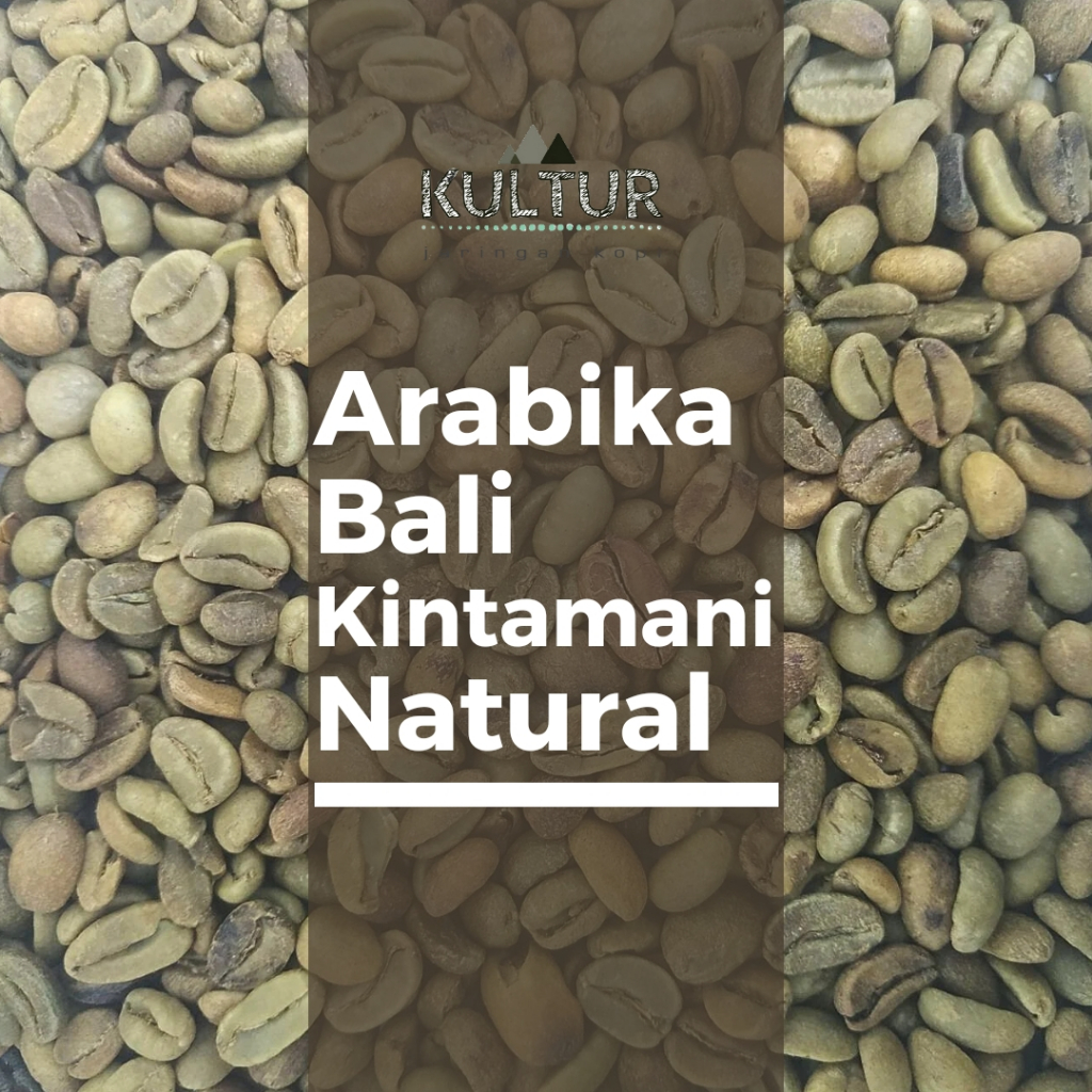 

GREEN BEAN ARABIKA BALI KINTAMANI NATURAL BIJI KOPI MENTAH NETTO 1 KG