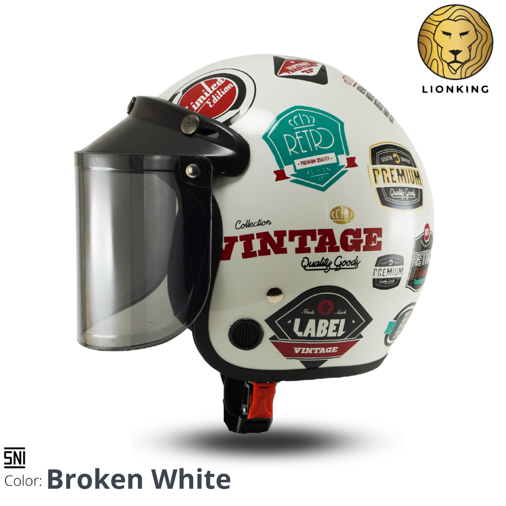 HELM BOGO RETRO MOTIF HELM PRIA WANITA MOTIF AESTHETIC