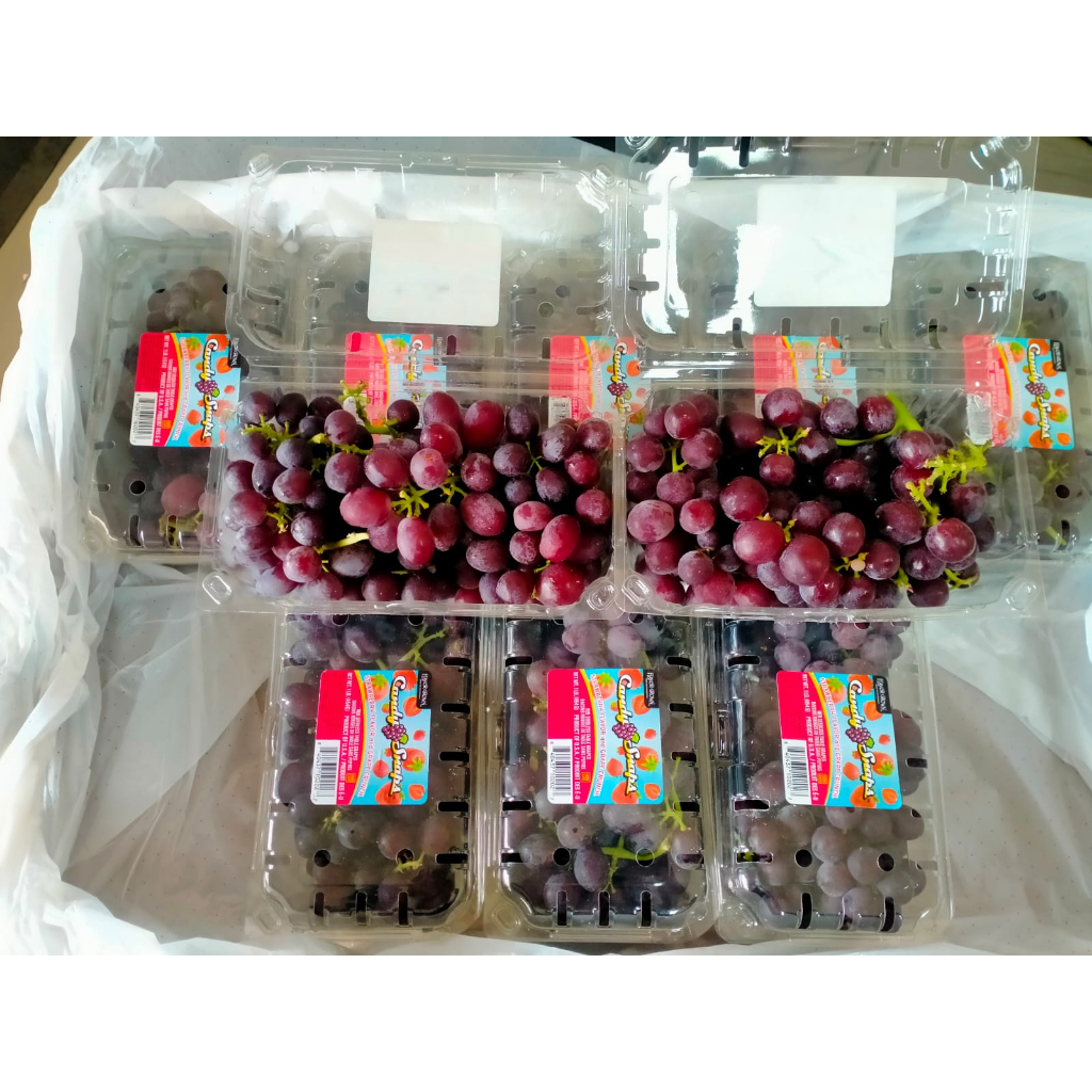 

Anggur Candy Snap 1 Karton 10 Pack