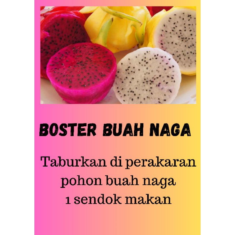 BOSTER BUAH BOOSTER BUAH NAGA PUPUK BUAH NAGA