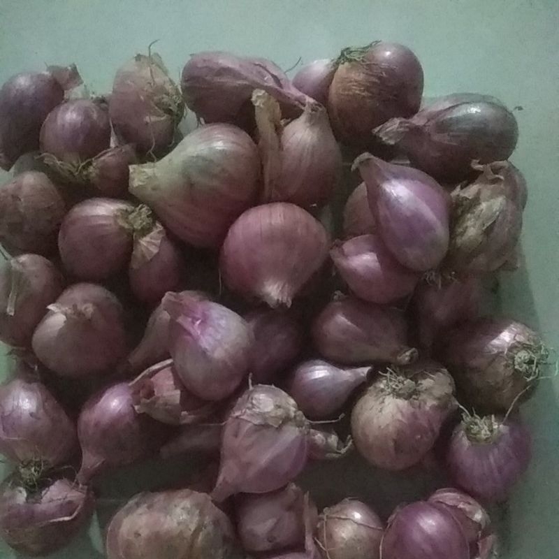 

bawang merah 1oo gram