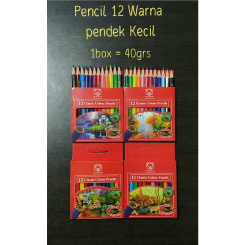 

PENSIL WARNA SAFARI KECIL