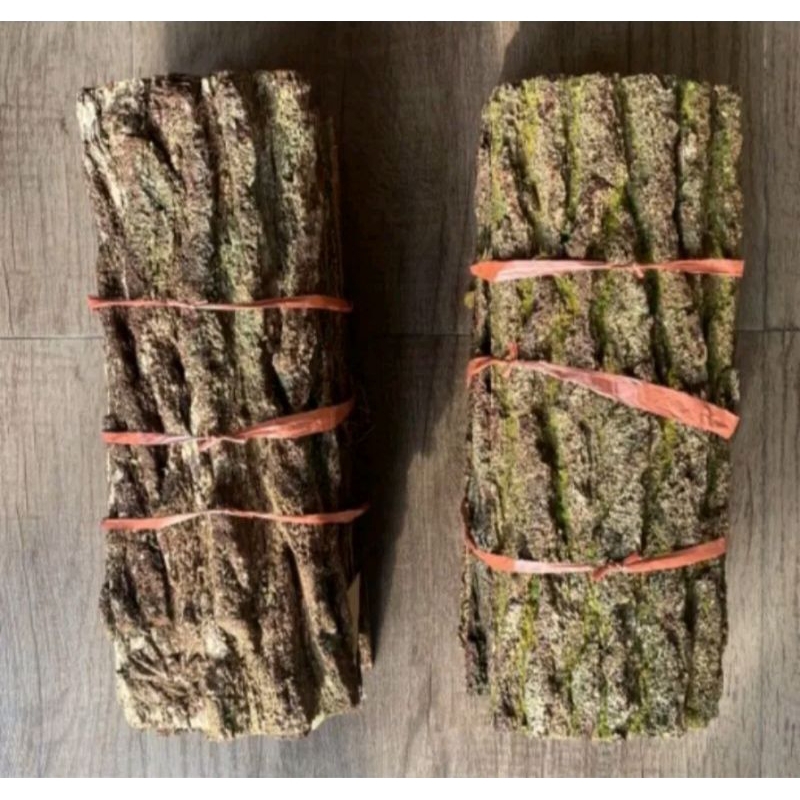 Paket Media Tannam Pine Bark
