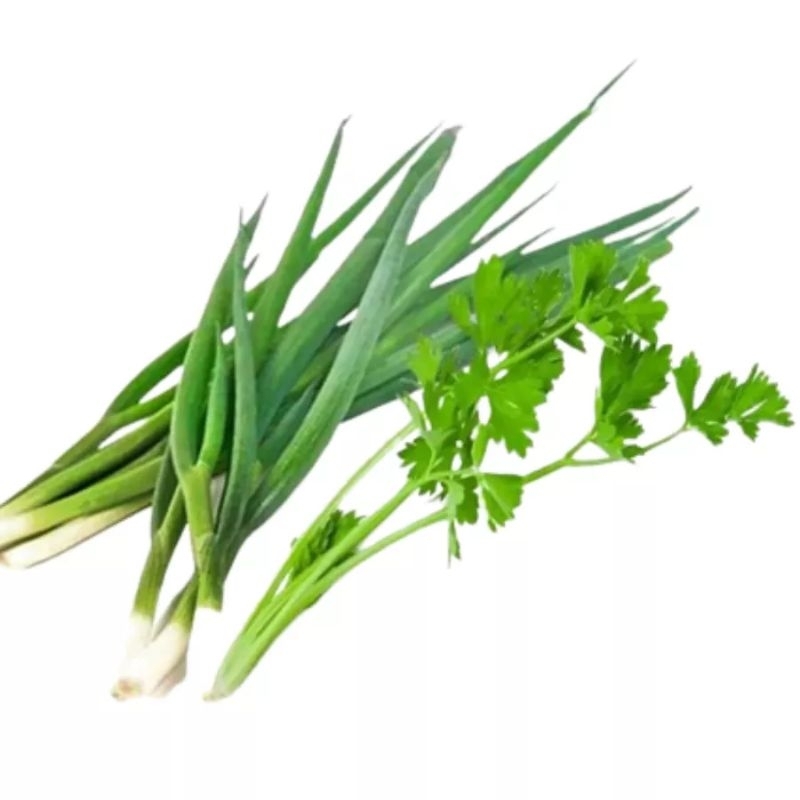 

daun bawang + daun seledri 1 ikat - KIRIM INSTAN