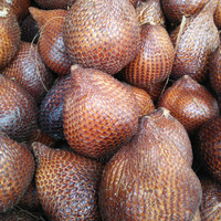 

buah salak/salak sidempuan 1kg