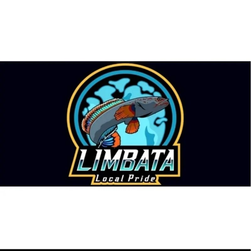 Limbata size 6-7 cm