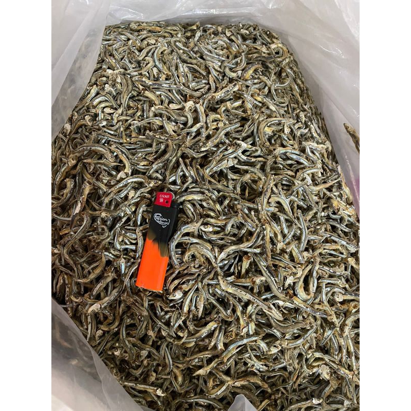 

Ikan Teri Tanjung Pinang Bilis Asli 250gr