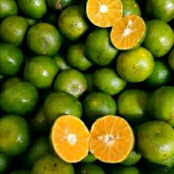 

JERUK PERAS SEGAR #JERUK SIAM #JERUK MINUM //