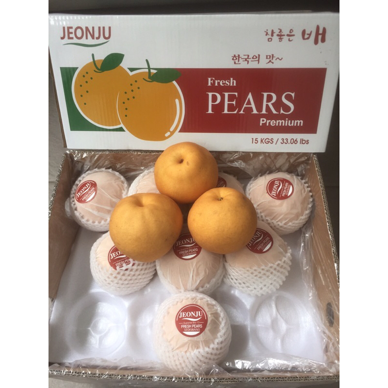 

Buah Pear Pir Singo Korea 1 Dus (15 KG ) Fresh Import