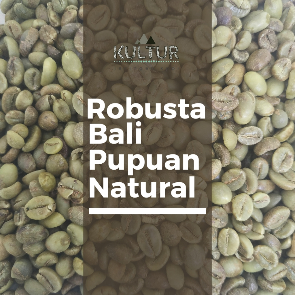 

GREEN BEAN ROBUSTA BALI NATURAL BIJI KOPI MENTAH NETTO 500 GR