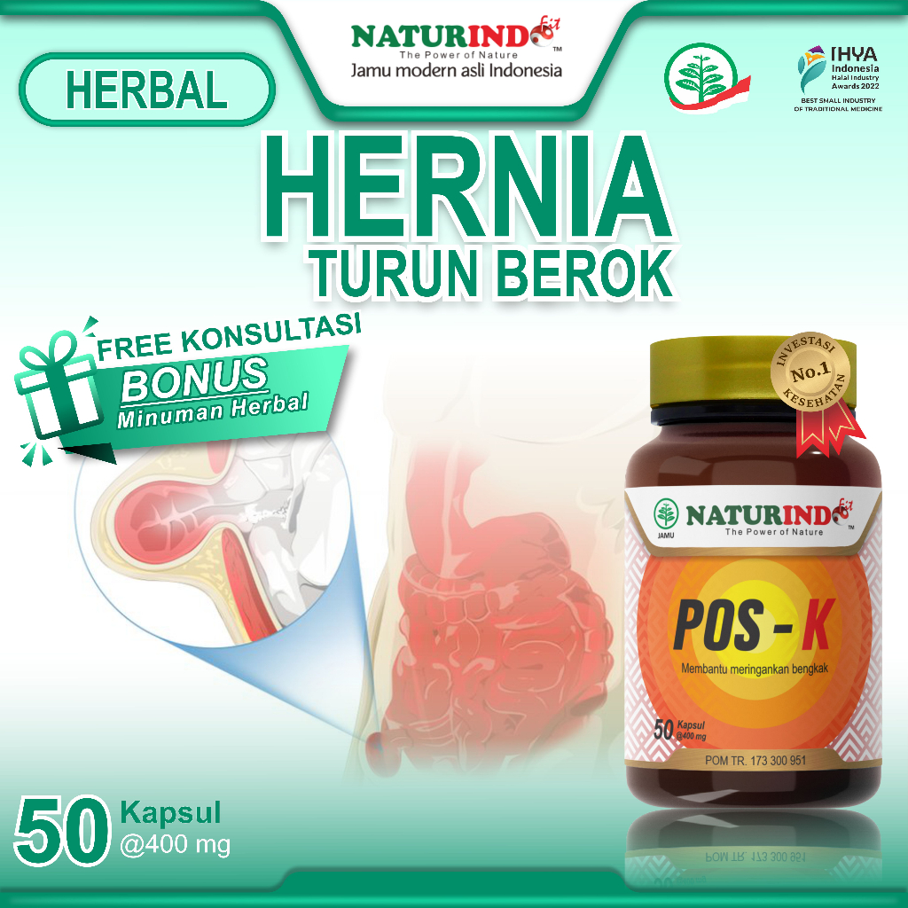Obat hernia paling ampuh turun berok dewasa obat turun berok pria tanpa operasi herbal