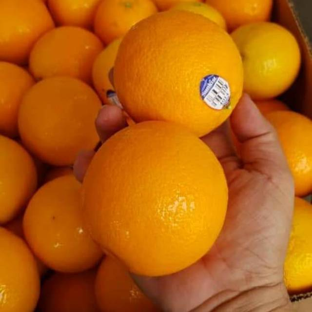 

QUEEN BUAH - Buah sunkist navel usa fresh 1kg/GROSIR BUAH SUNKIST NAVEL USA 1kg