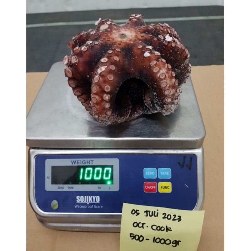 

Gurita Utuh Cook 500-1000 GR / Octopus