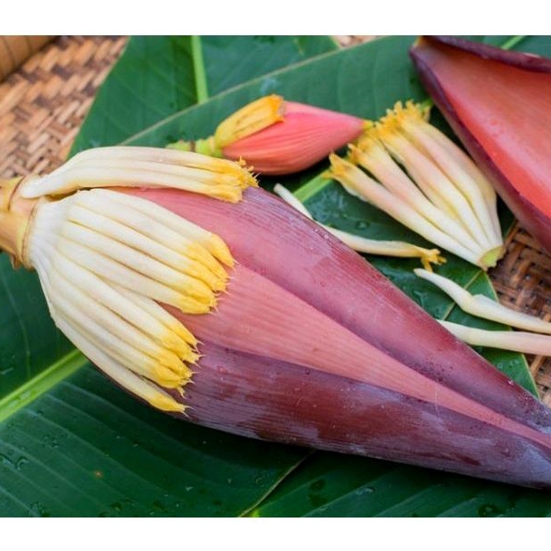 

JANTUNG PISANG KEPOK MENTAH