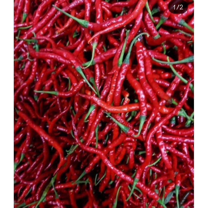 

Cabe Merah 500gr