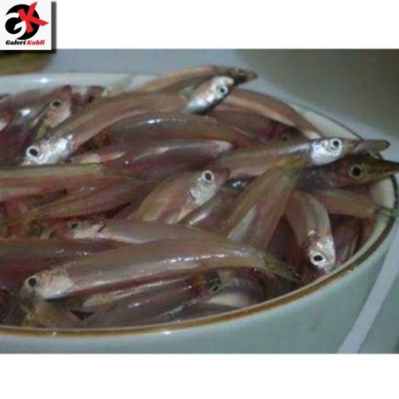 

IKAN TERI BASAH FRESH Berkualitas GRADE A / IKAN TERI KECIL SEGAR / ANEKA IKAN LAUT / SEAFOOD / ANEKA MAKANAN LAUT / IKAN SEGAR