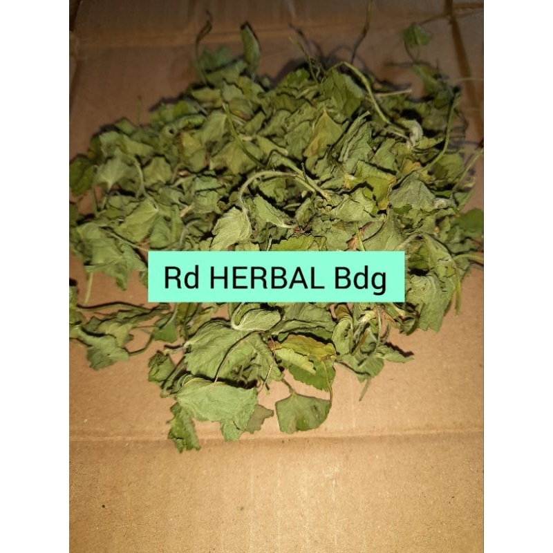 

Daun Pegagan Kering Daun Antanan Kering 50Gram Rempah Rempah Kering