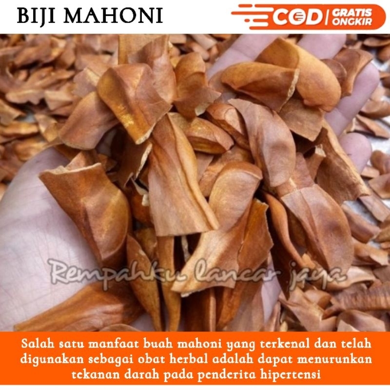 

RL Biji Mahoni kering 100g Murni SUPER