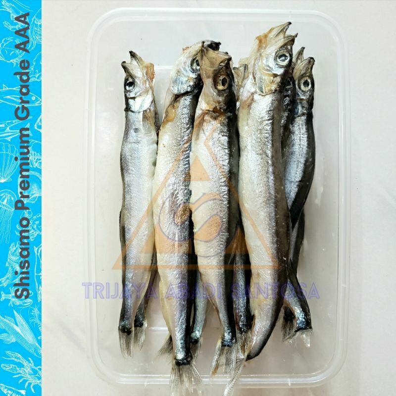 

Shisamo / Capelin Fish 500 Gr