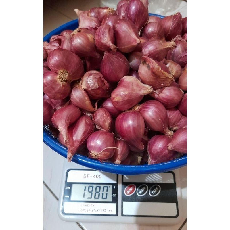 

Bawang Merah Super Lokal