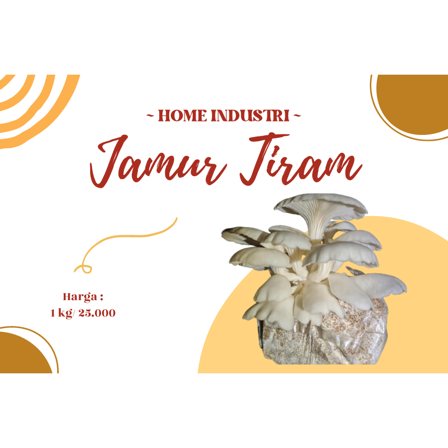 

JAMUR TIRAM