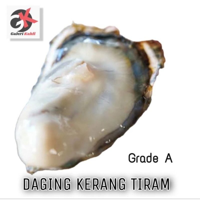 

DAGING KERANG TIRAM KUPAS FRESH Berkualitas GRADE A / ANEKA KERANG KAUT SEGAR / ANEKA KURANG KUPAS SEGAR / ANEKA IKAN LAUT SEGAR