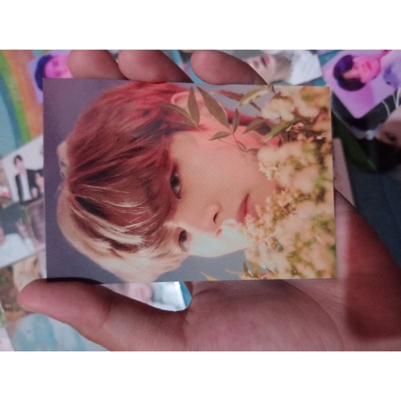 MPC TAEHYUNG BTS BUNGA OFFICIAL