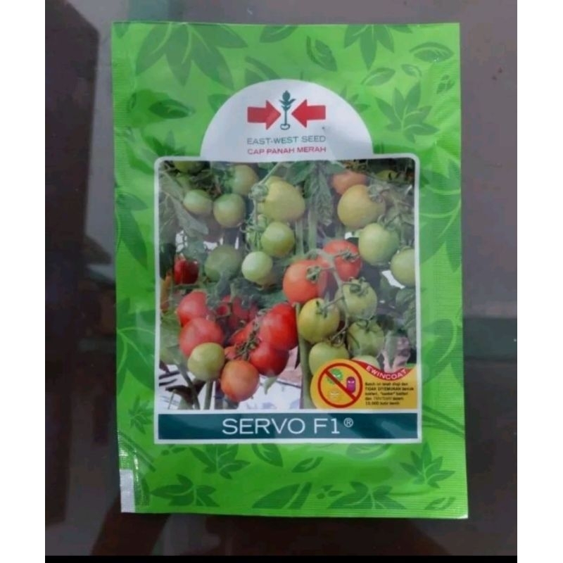 TOMAT SERVO 1750 benih