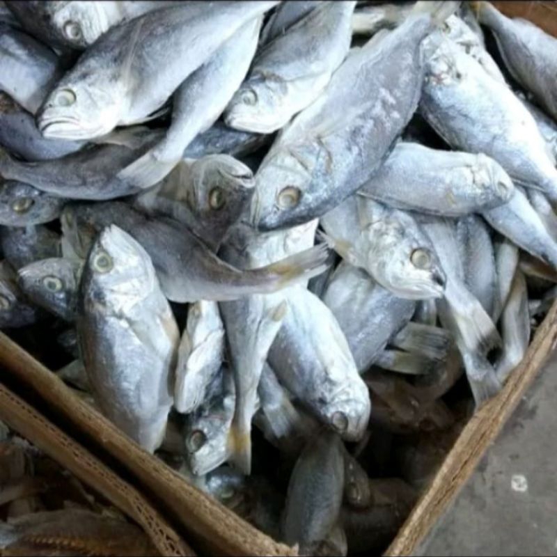 

Ikan Asin Kepala Batu Khas Medan 250 gr