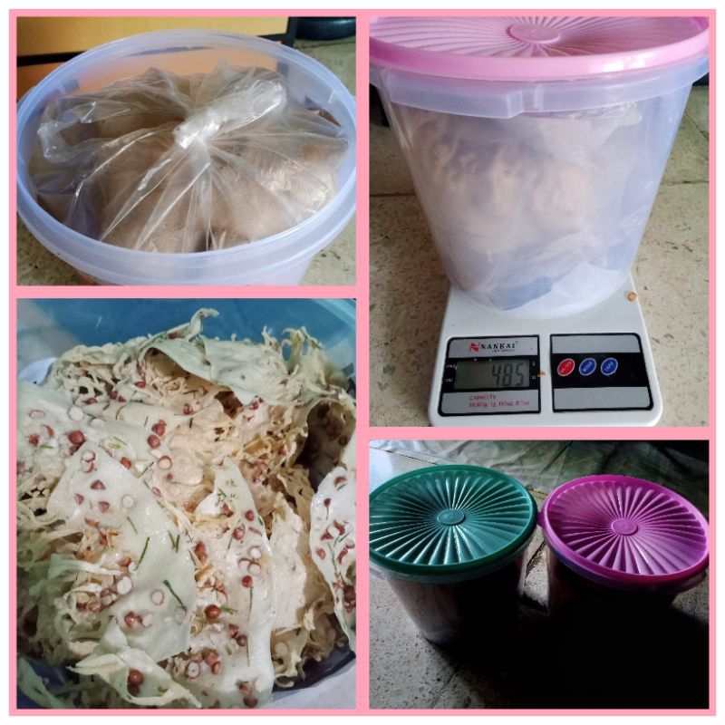 

PEYEK TOPLES