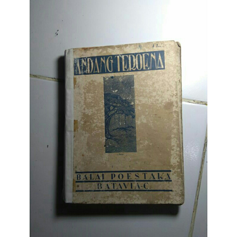buku novel langka andang teroena, terbitan balai poestaka