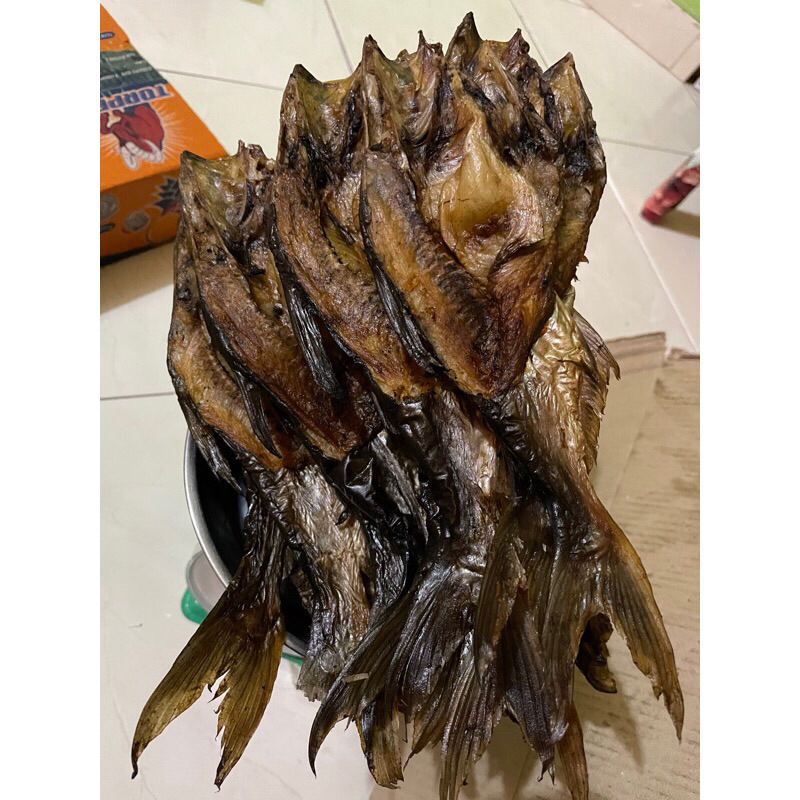 

Ikan salai patin khas kampar tanpa bahan pengawet dan rasa di jamin masih autentik