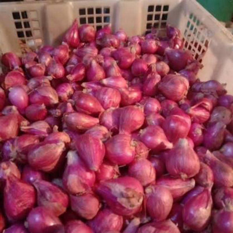 

BAWANG MERAH LOKAL 1 Kg 100% KUALITAS PREMIUM BESAR-BESAR ASLI KEBUN SENDIRI