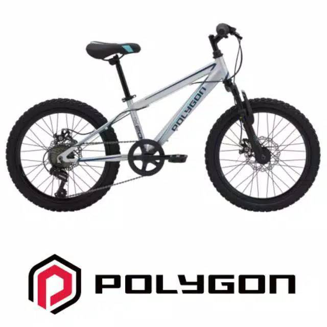Sepeda Gunung / MTB Anak Ukuran 20 Inch Polygon Maze 20