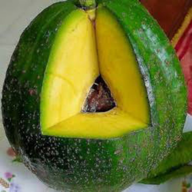 

Buah Alpukat Mentega Markus Jumbo Kediri