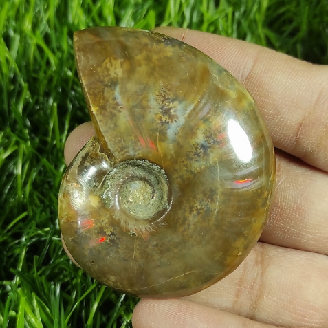 48.5gr Flashy Rainbow Ammonite Fossil Polished From Madagascar