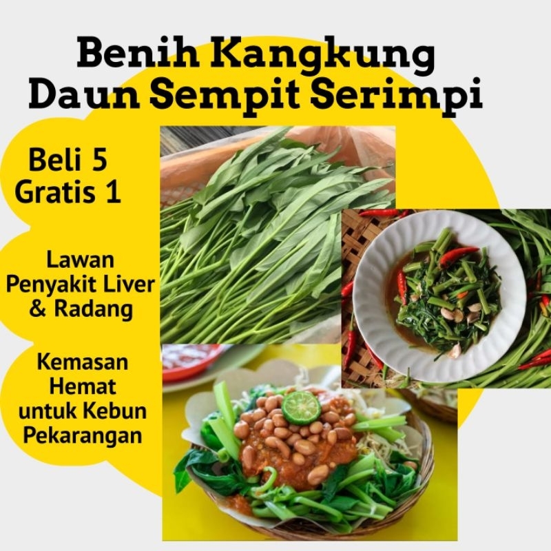 Benih Kangkung Daun Sempit