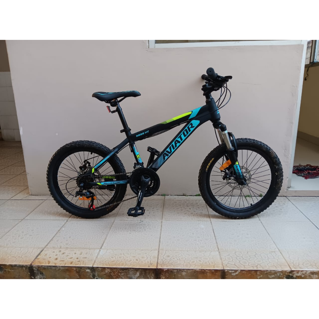 AVIATOR Sepeda Gunung 20 Inch 2689 XT