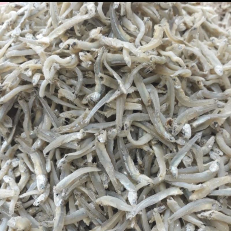 

Ikan Teri Buntio/Teri Kacang Segar 250 gr
