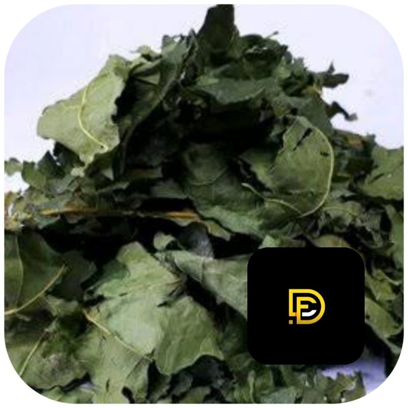 

Daun afrika kering natural organik-az