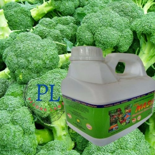 pupuk brokoli/pupuk organik cair/pupuk sayur/sayur brokoli/pupuk sayuran organik/sayuran brokoli pup