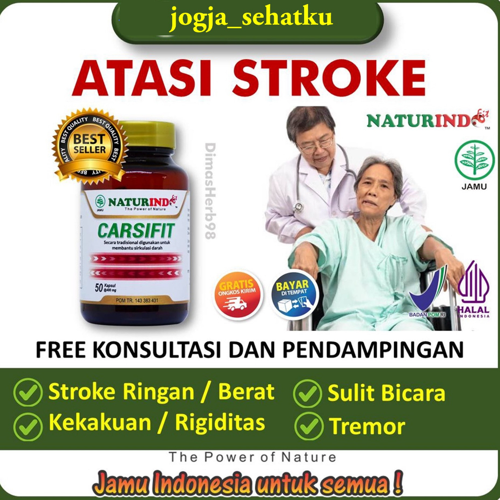 Obat Stroke Ringan Berat Jamu Stroke Ringan Stroke Obat Pasca Stroke CARSIFIT Naturindo