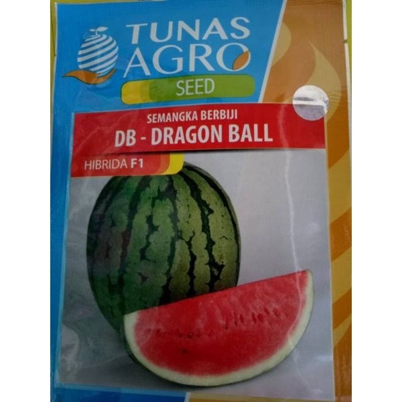 BENIH SEMANGKA BERBIJI DRAGON BALL F1